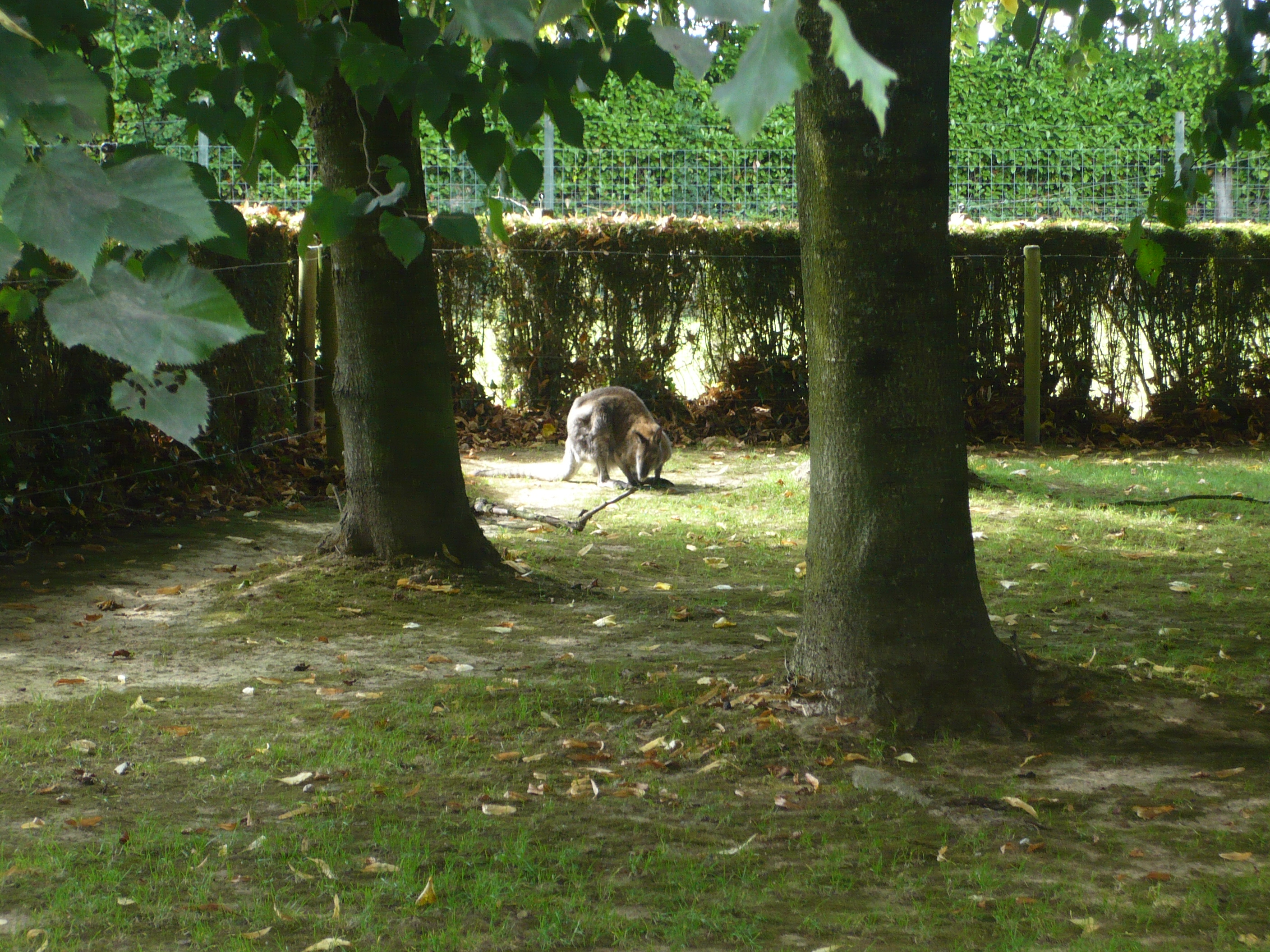 Photo n° 12 de l'avis de Arthur.i fait le 10/07/2021 à 10:56