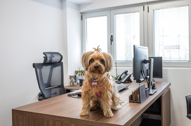 Αξιολογήσεις για το Λογιστικό Γραφείο Δημήτρης Θεοδοσούλης στην Ηράκλειο - Λογιστής