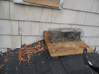 Creature Catchers / Urban Animal Removal