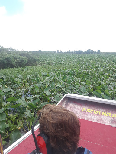 Boat Tour Agency «Alligators Unlimited Airboat Tours», reviews and photos, 14400 Reese Dr, Lake Wales, FL 33898, USA