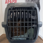 Photo n° 1 de l'avis de Karine.a fait le 26/01/2023 à 20:33 pour Vasseur Dorothee à Ghisonaccia