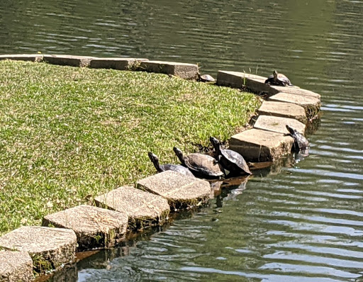 Park «Roswell Area Park», reviews and photos, 10495 Woodstock Rd, Roswell, GA 30075, USA