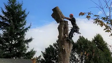 Arbor Viking Tree Specialists