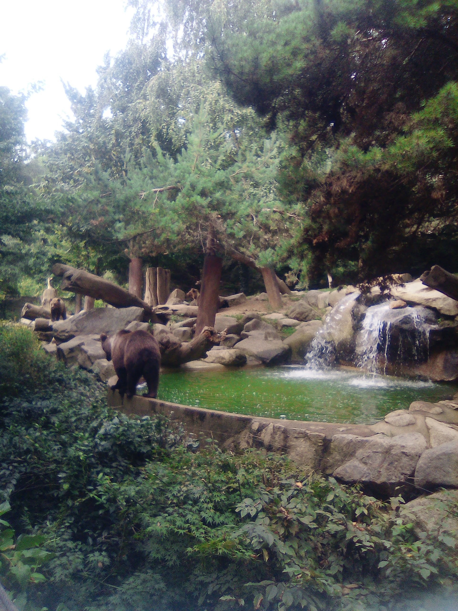 Photo n° 1 de l'avis de Imelda.i fait le 24/08/2019 à 20:04