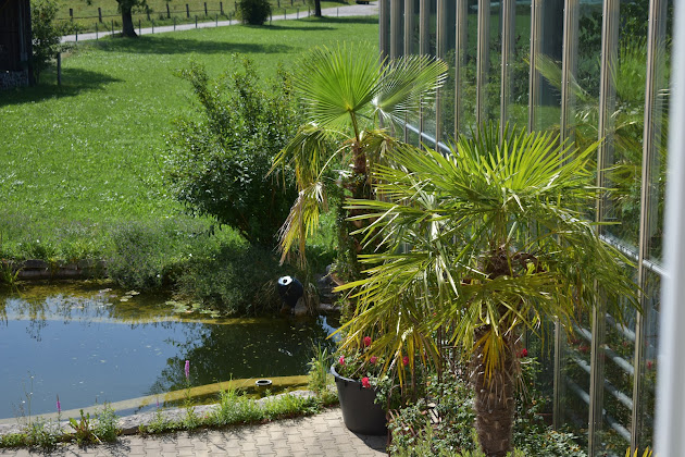 Photo Ferienwohnung Ferienwohnung Palmengarten 86923 Finning