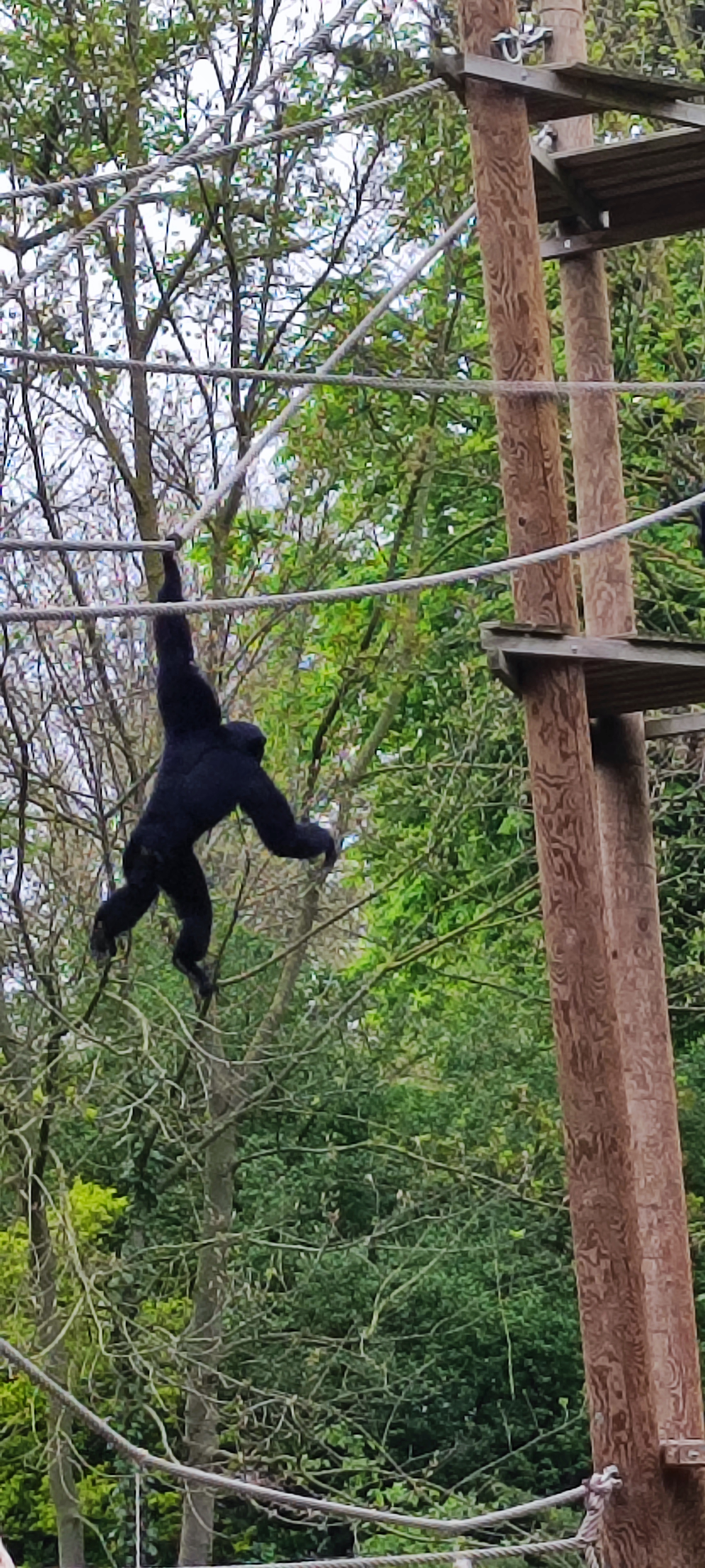 Photo n° 5 de l'avis de Nadia. fait le 29/04/2023 à 16:51