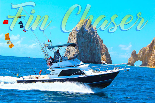 Fin Chaser Fishing Charters