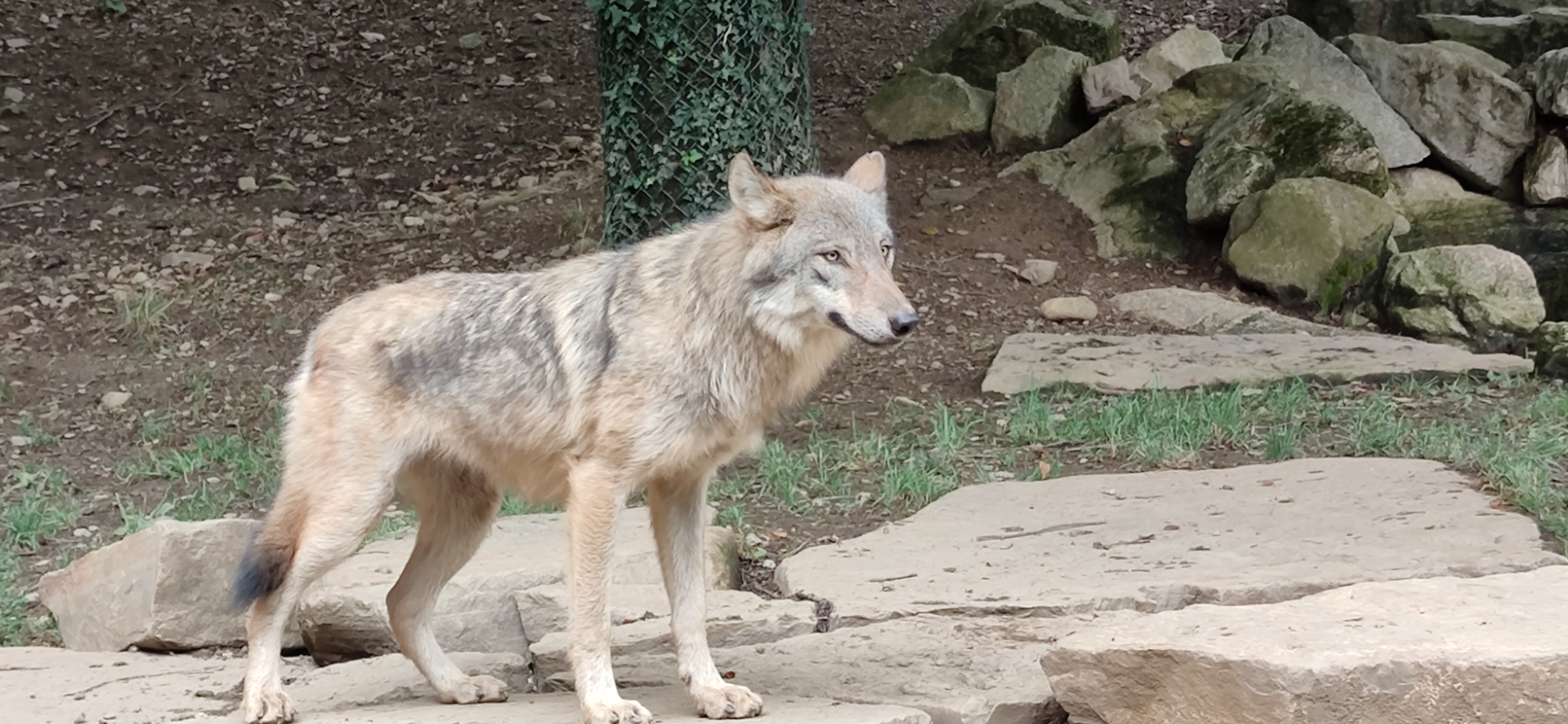 Photo n° 5 de l'avis de Sebastien.A fait le 22/08/2022 à 21:18