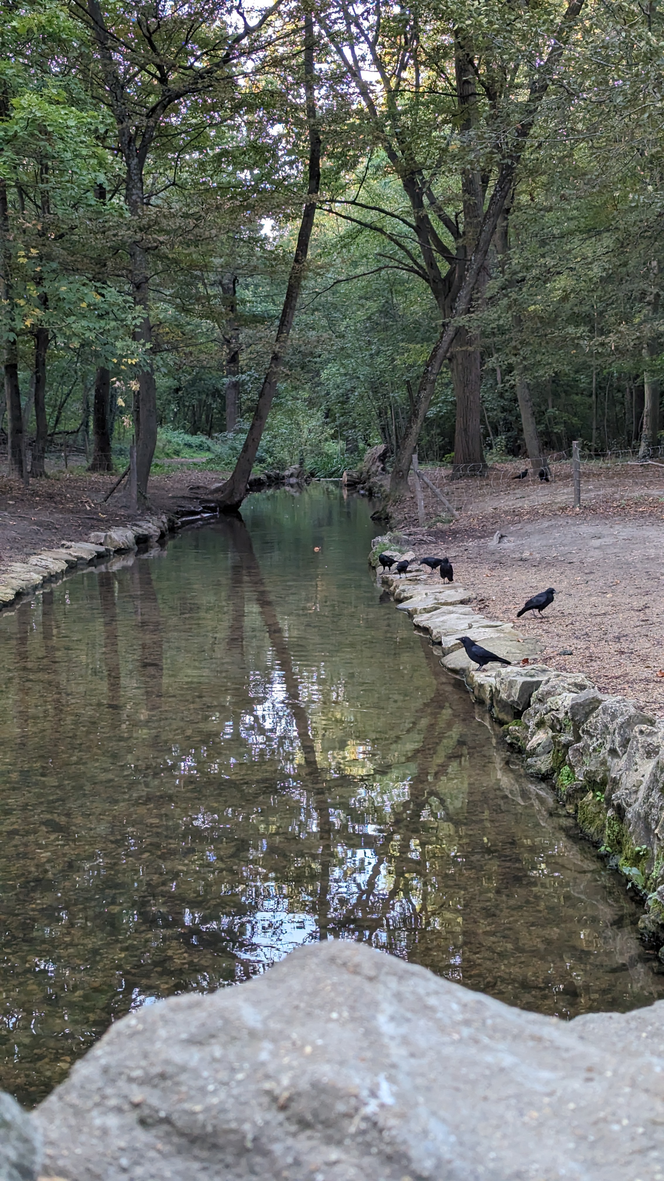 Photo n° 2 de l'avis de Alessandro.t fait le 09/03/2024 à 01:48