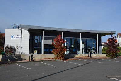 clinique veterinaire VETELOY à Saint-Éloy-les-Mines