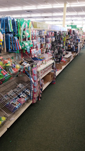 Dollar Store «Dollar Tree», reviews and photos, 2288 Bunker Lake Blvd NW, Andover, MN 55304, USA