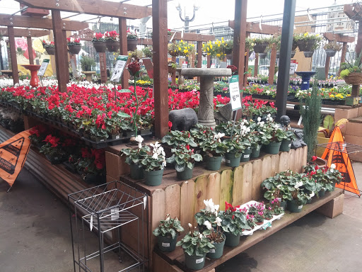 Hardware Store «Orchard Supply Hardware», reviews and photos, 1010 Metro Center Blvd, Foster City, CA 94404, USA