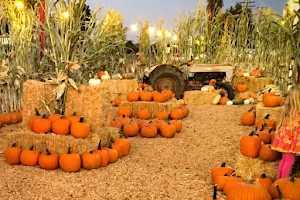 Hannegan's Harvest and Pumpkin Patch image
