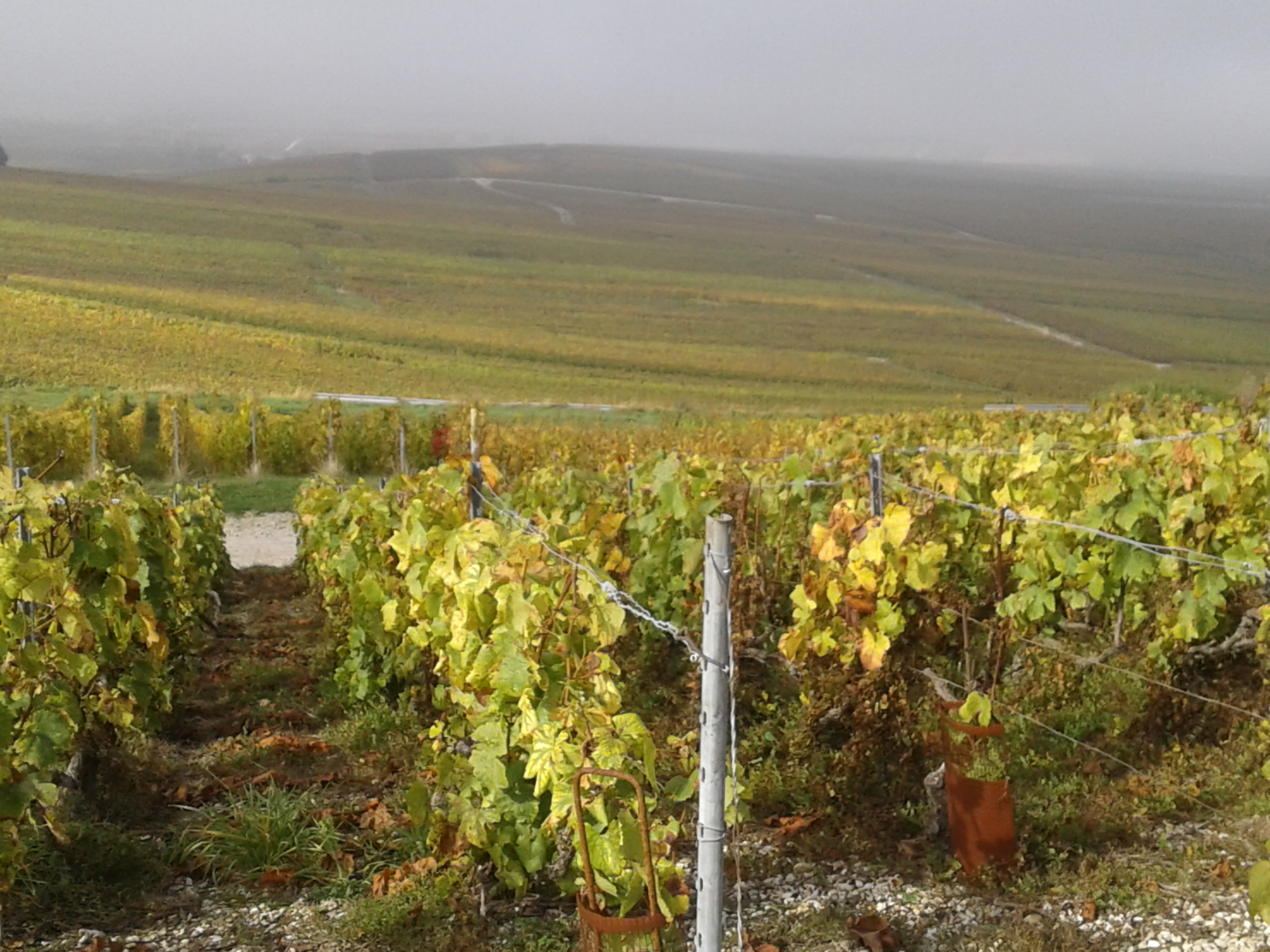 Photo n° 3 de l'avis de Marianne.a fait le 22/10/2021 à 23:08