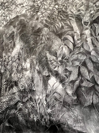 Modern Art Museum «Kemper Museum of Contemporary Art», reviews and photos, 4420 Warwick Blvd, Kansas City, MO 64111, USA