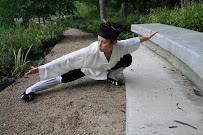 Blue Dragon Tai Chi - For Health and Longevity - Photo 2 - Car repair in Houston, TX, Houston