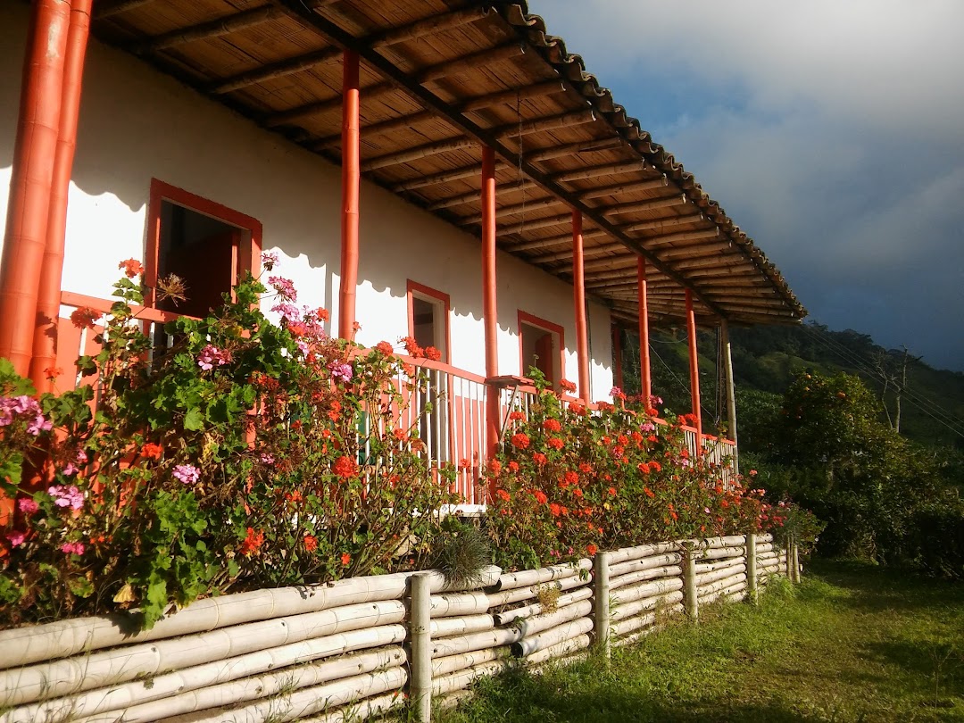 Café Tío Conejo