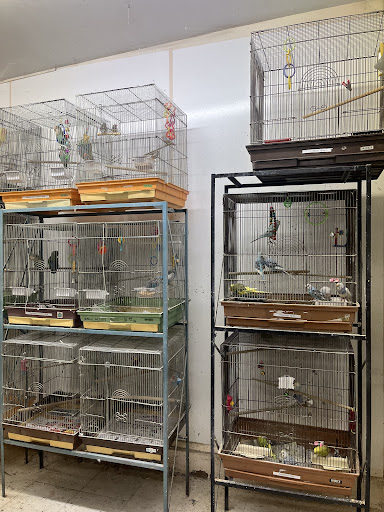 Tropical Fish Store «Midway Tropical Fish & Pets», reviews and photos, 24101 Pacific Hwy S, Kent, WA 98032, USA