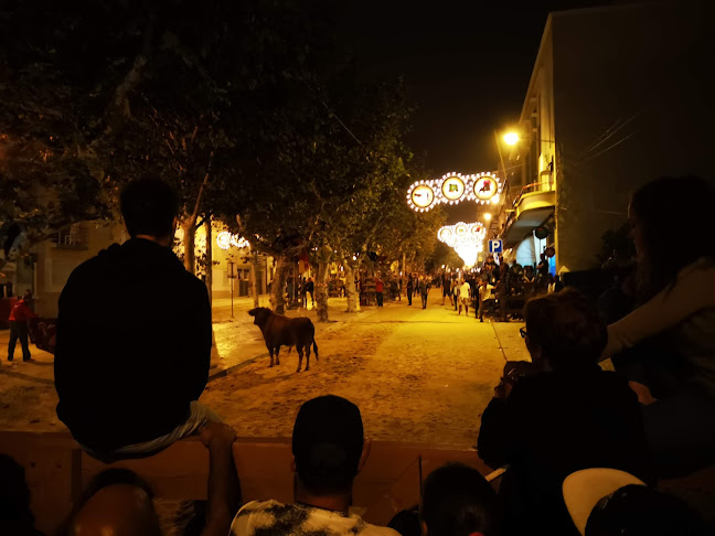 Sociedade Filarmónica Estrela Moitense - Escola de dança