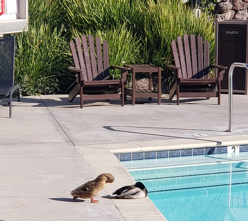DoubleTree by Hilton Pleasanton at the Club image
