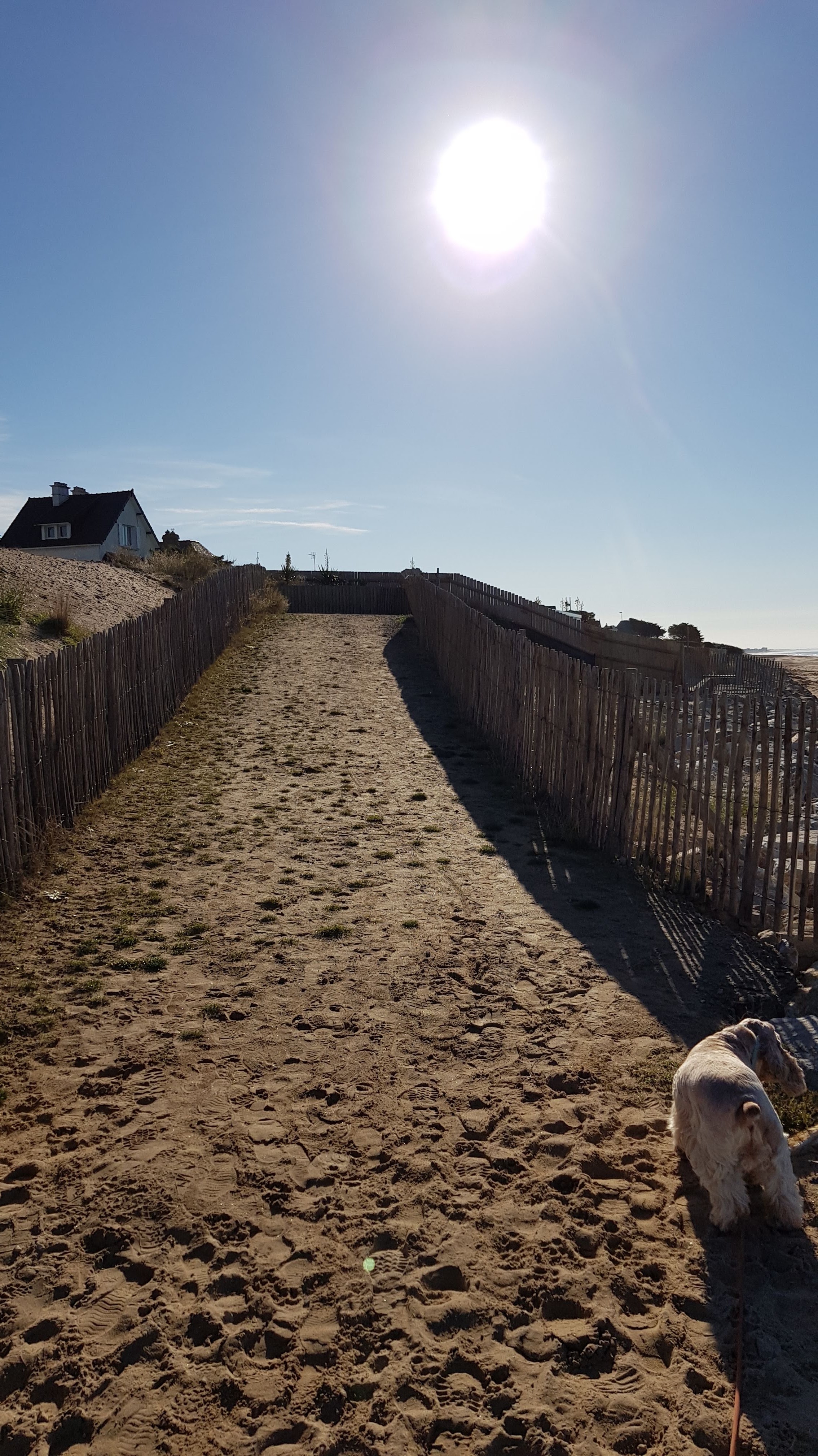 Photo n° 4 de l'avis de Bool2.� fait le 14/12/2018 à 08:29