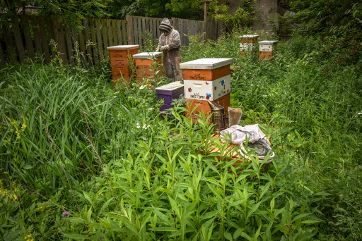 Wesley Family Apiary & Microfarm (Akron Honey)