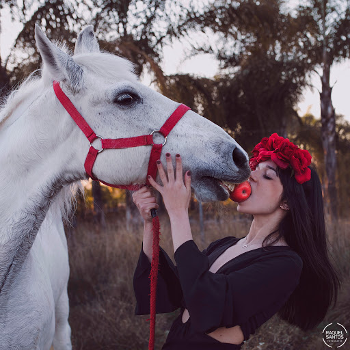 Amor