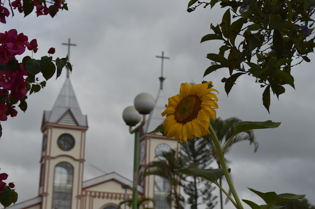 Iglesia Católica Nuestra Señora de Fátima - El Pangui