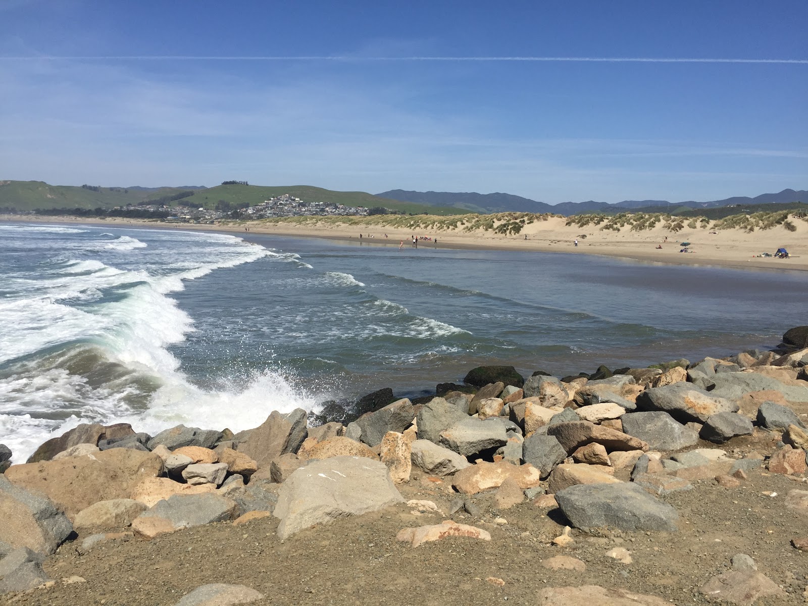 Morro Rock Beach'in fotoğrafı çok temiz temizlik seviyesi ile