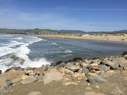 Morro Rock Beach'in fotoğrafı çok temiz temizlik seviyesi ile