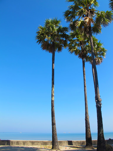 Travel Agency «SkyPath Travel», reviews and photos, 4221 NW 126th Ave, Portland, OR 97229, USA