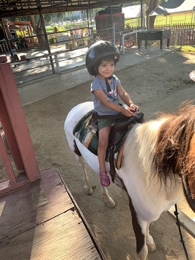 Park «Montebello Barnyard Zoo», reviews and photos, 600 Rea Dr, Montebello, CA 90640, USA