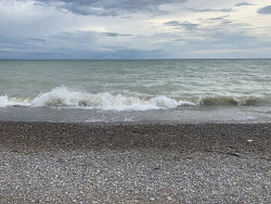 Black Willow Beach'in fotoğrafı - rahatlamayı sevenler arasında popüler bir yer