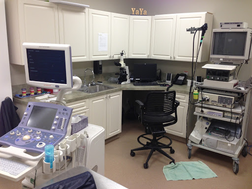 Veterinarian «Animal Emergency and Critical Care Center of Brevard