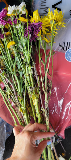 Department Store «Walmart Supercenter», reviews and photos, 2001 E 151st St, Carmel, IN 46033, USA