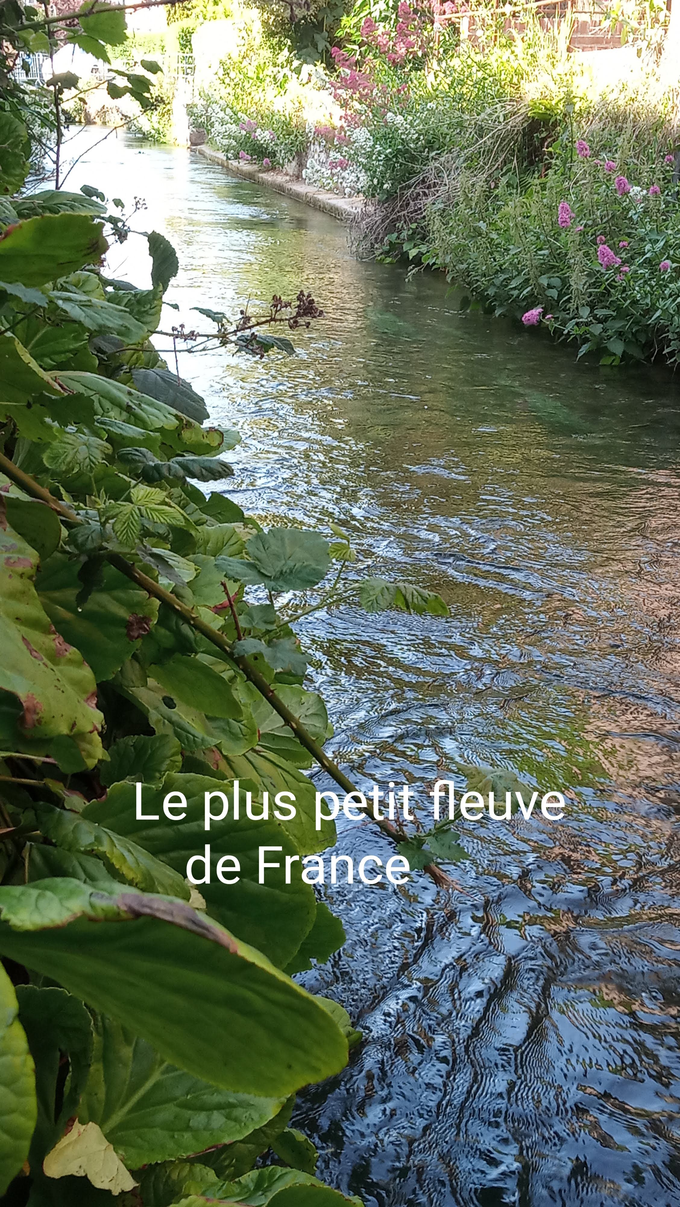 Photo n° 2 de l'avis de Olivier.a fait le 22/06/2023 à 21:32
