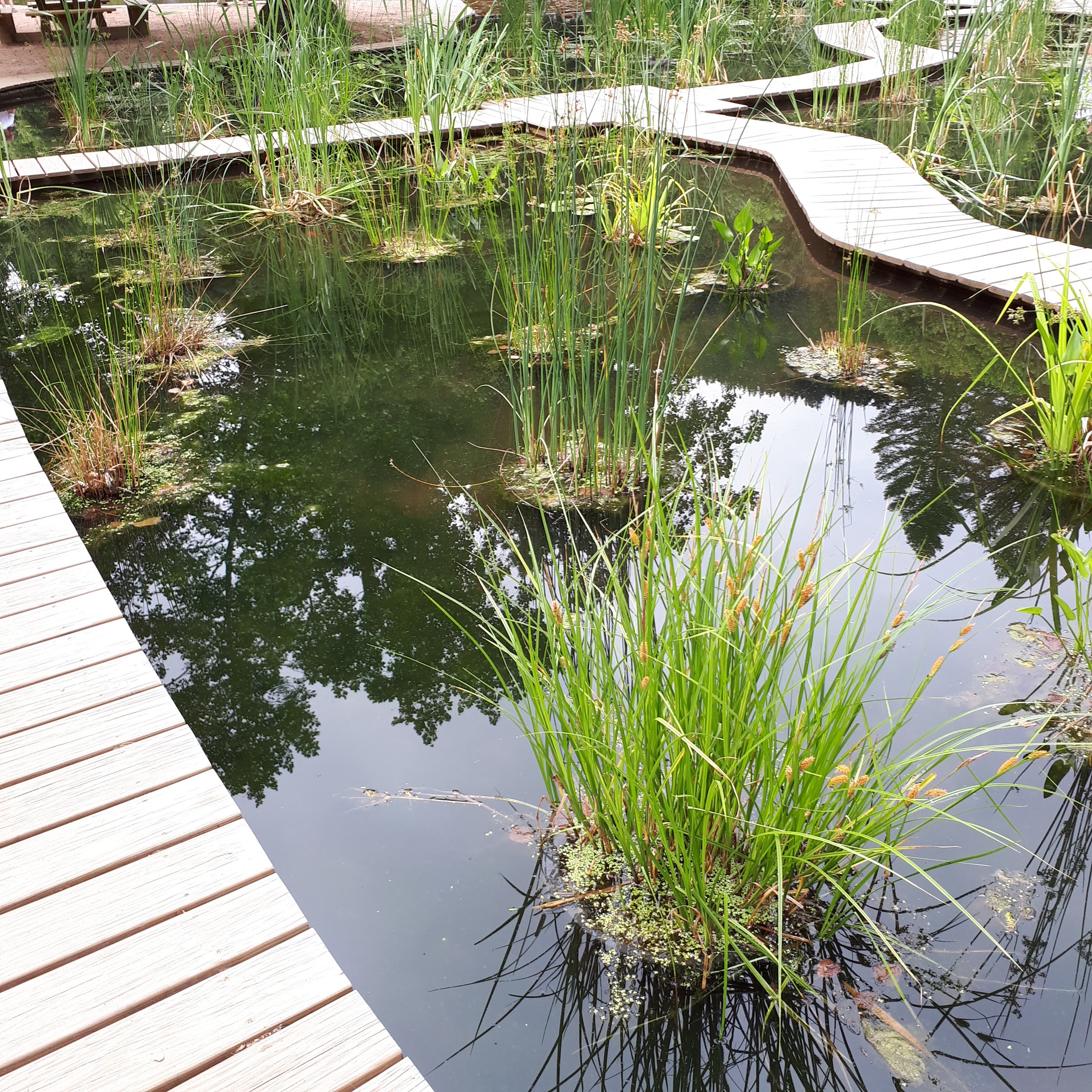 Photo n° 6 de l'avis de Cha.o fait le 09/07/2019 à 12:34