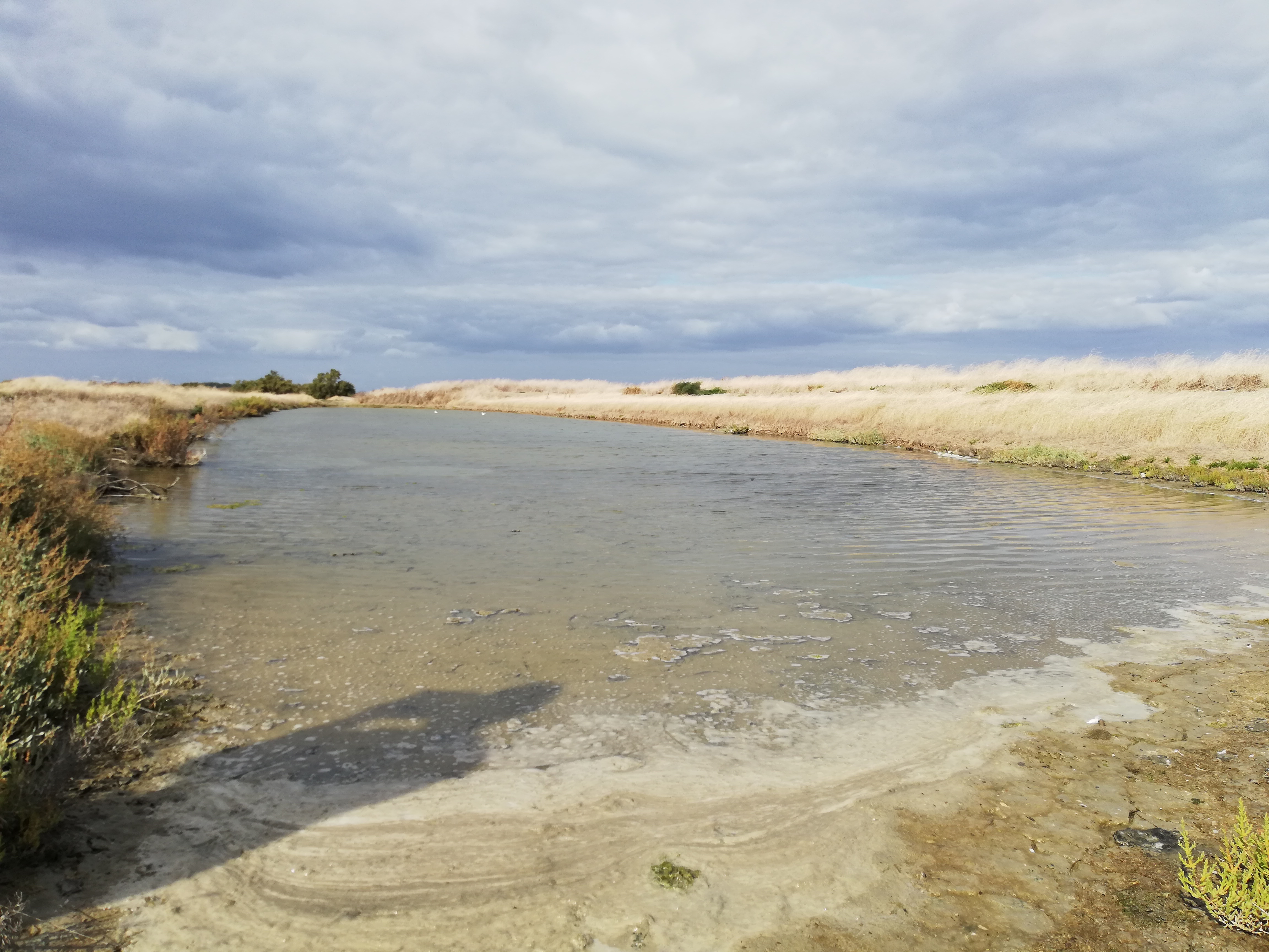 Photo n° 10 de l'avis de Bernard.O fait le 10/09/2019 à 02:01