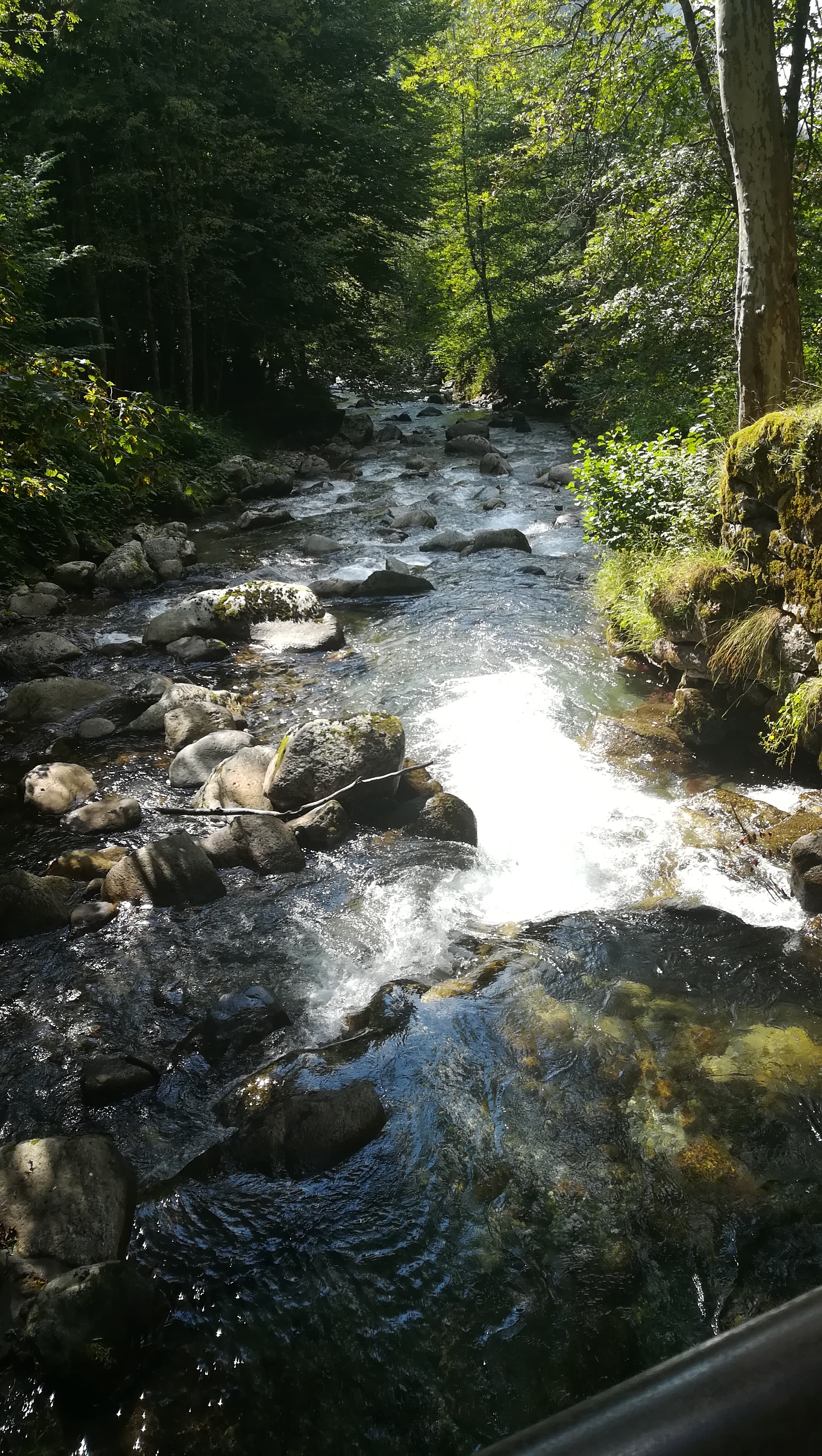 Photo n° 1 de l'avis de Melanie.a fait le 23/08/2018 à 08:47
