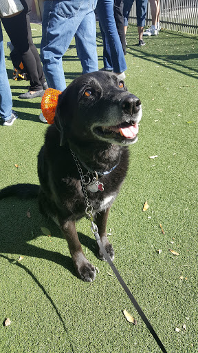 Park «Stonebrook Park», reviews and photos, 14431 W Ely Dr, Surprise, AZ 85374, USA