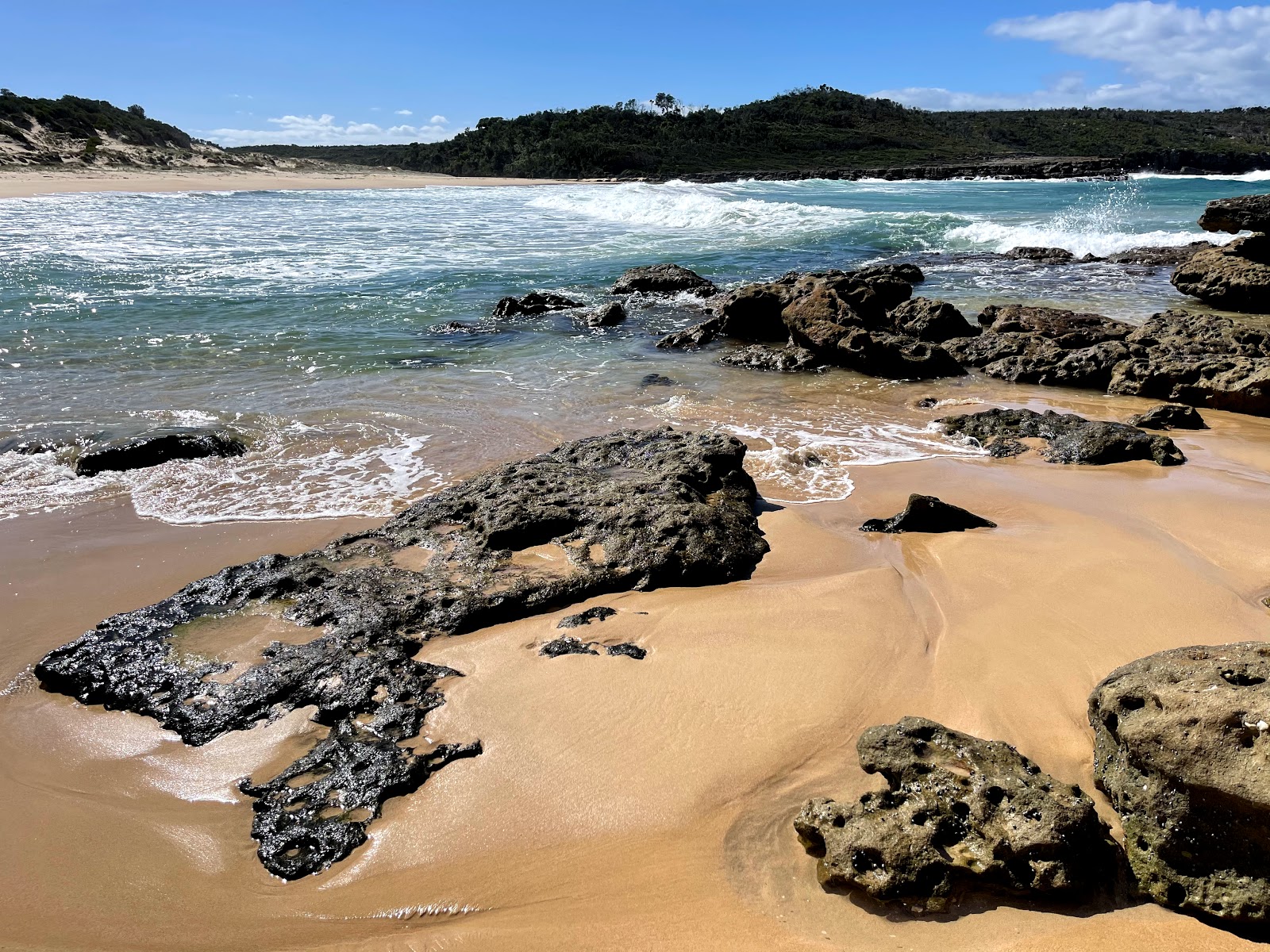 Target Beach'in fotoğrafı çok temiz temizlik seviyesi ile