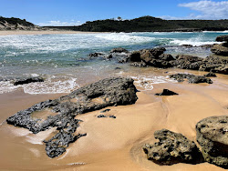 Target Beach'in fotoğrafı çok temiz temizlik seviyesi ile