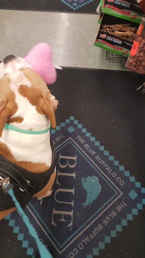 Pet Supply Store «Mini Pet Mart», reviews and photos, 876 NW 6th St, Grants Pass, OR 97526, USA