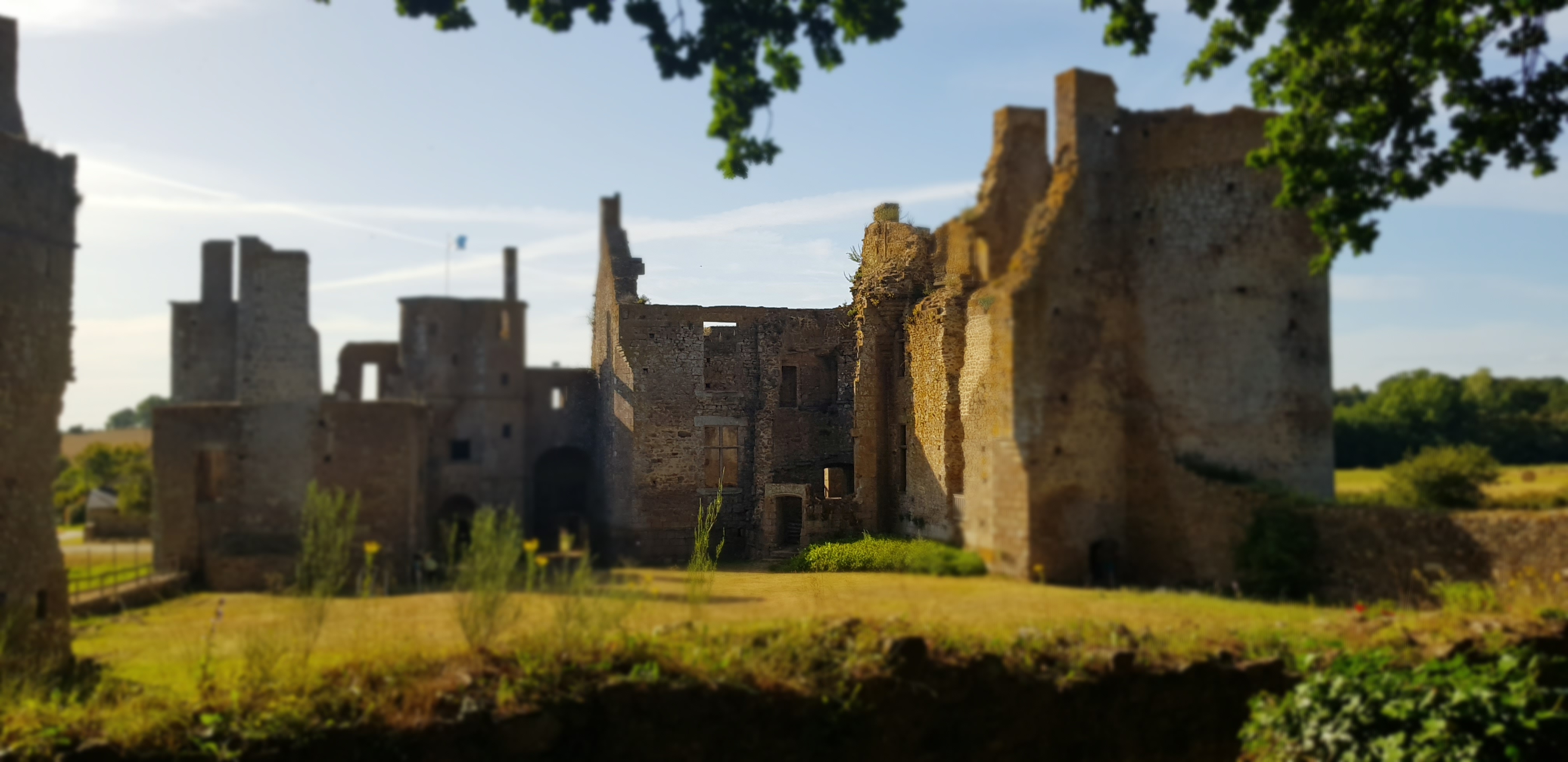 Photo n° 3 de l'avis de Cedric.a fait le 25/07/2020 à 12:29