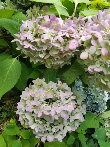 Gift Shop «Stonehedge Gardens», reviews and photos, 51 Dairy Rd, Tamaqua, PA 18252, USA