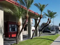 Jasmin landscaping and gardening services - Car repair in , Long Beach - Rated 0.0/5