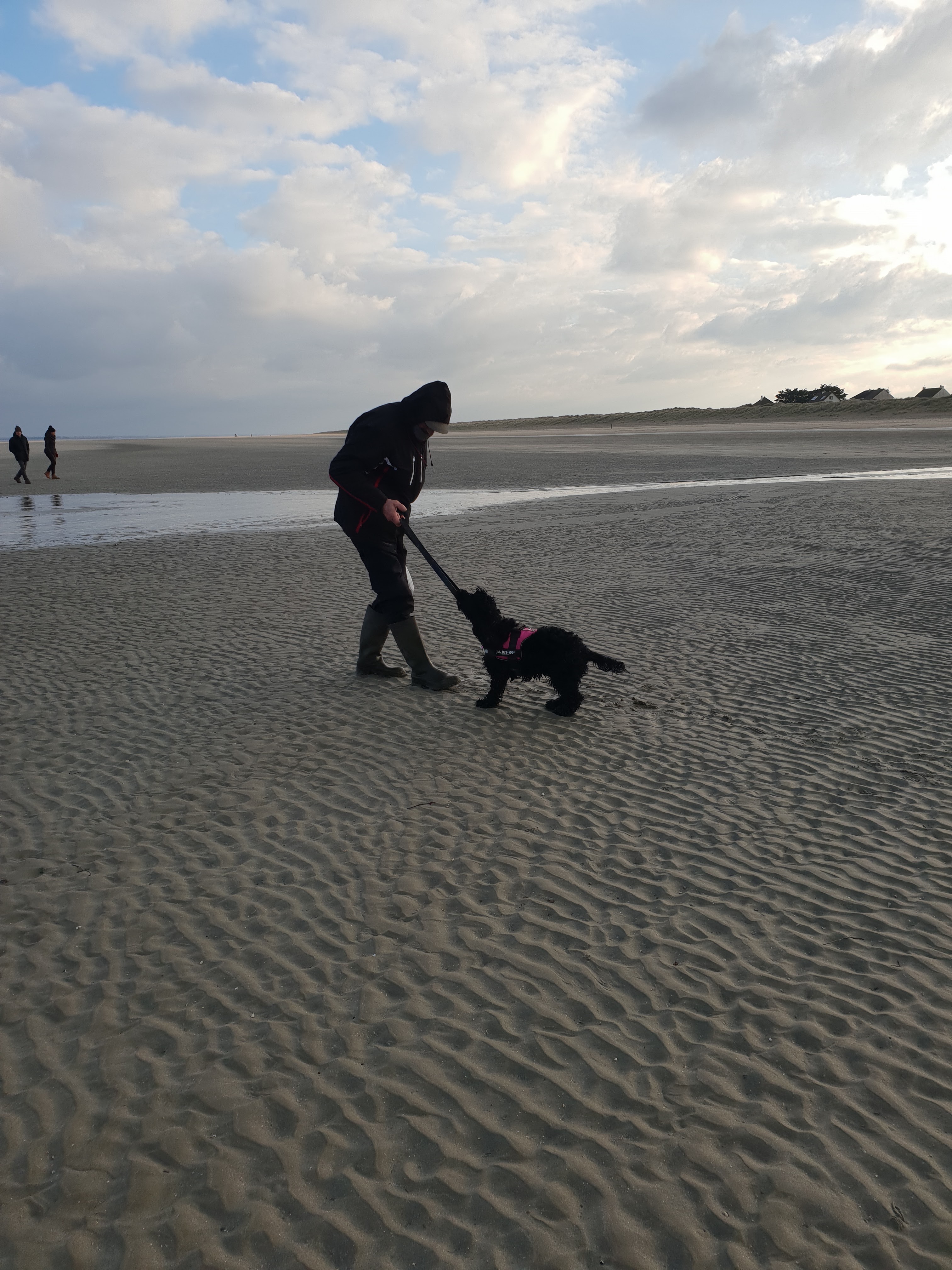 Photo n° 1 de l'avis de mireille.e fait le 11/11/2018 à 16:42