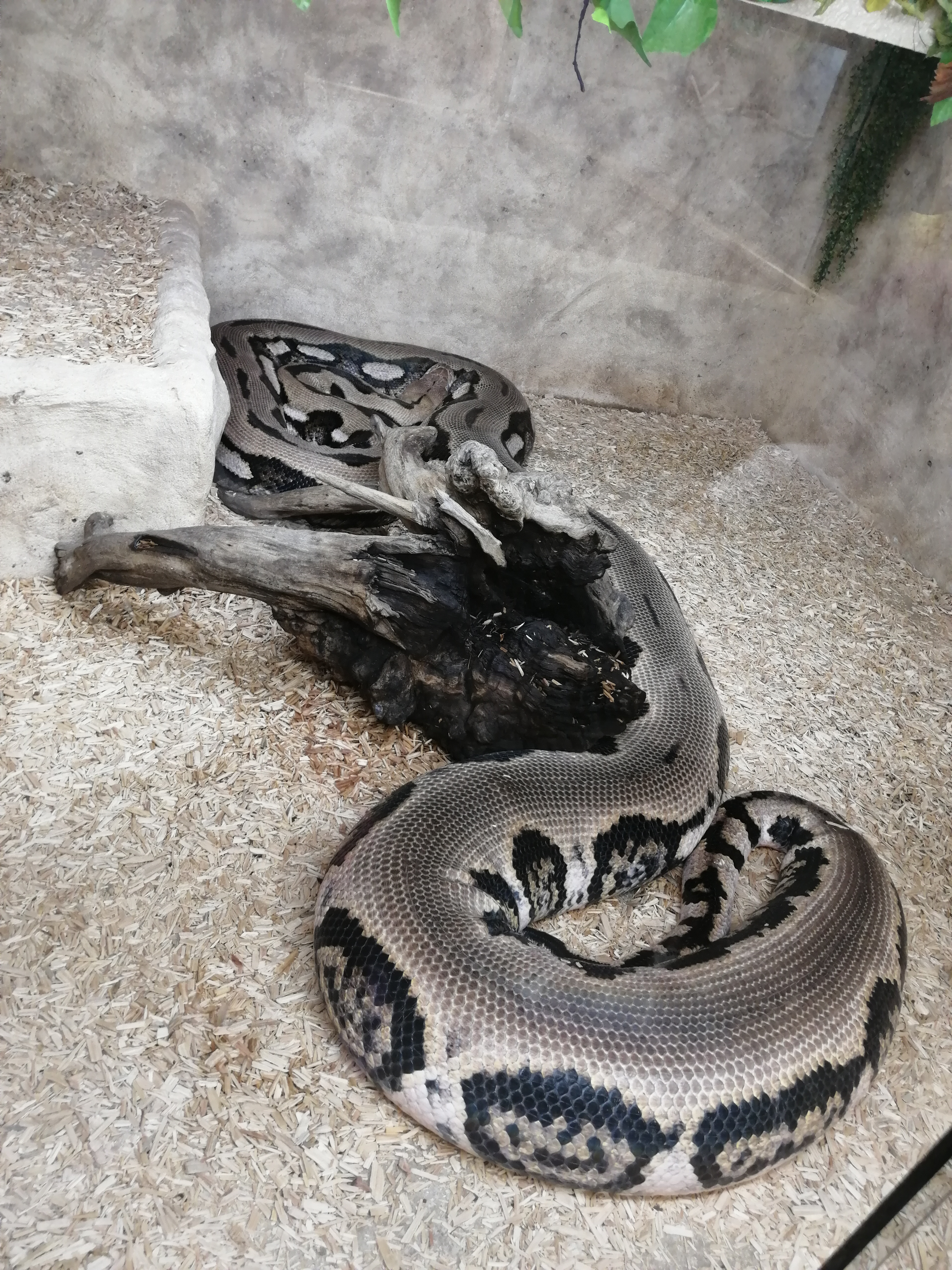 Photo n° 1 de l'avis de Mister.. fait le 16/07/2023 à 15:09