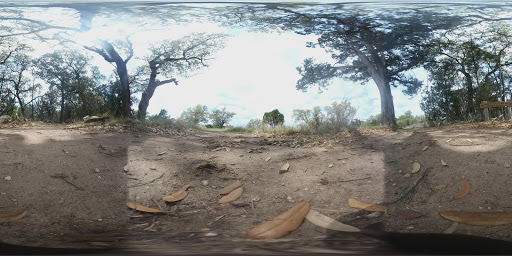 Non-Profit Organization «Westcave Outdoor Discovery Center», reviews and photos, 24814 Hamilton Pool Rd, Round Mountain, TX 78663, USA