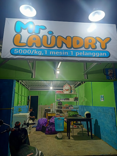 Mr. laundry